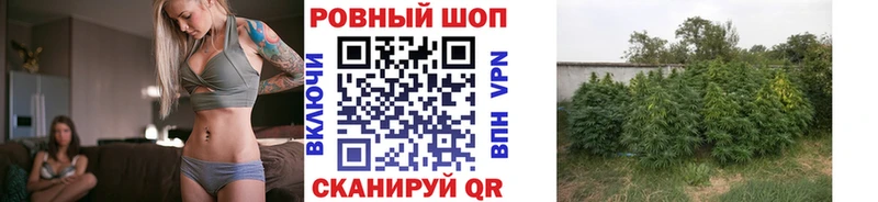 Цена Юрьев-Польский Гашиш  ЭКСТАЗИ  Меф мяу мяу  COCAIN 