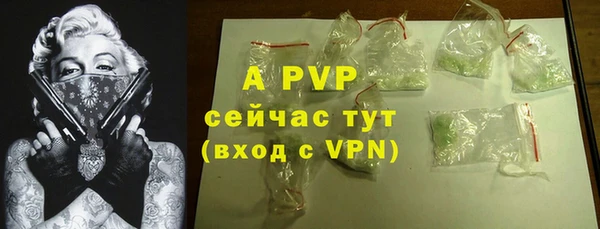 стаф Балахна