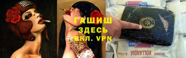 стаф Балахна