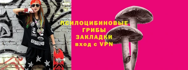 стаф Балахна