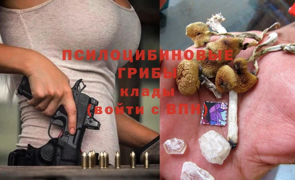 стаф Балахна
