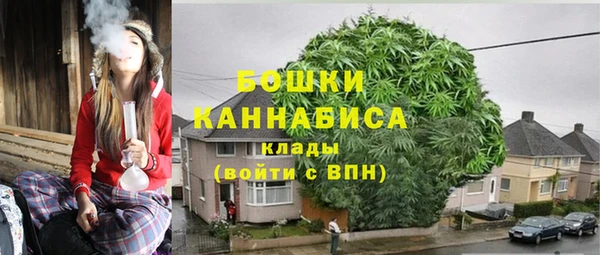 стаф Балахна