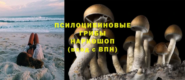 стаф Балахна