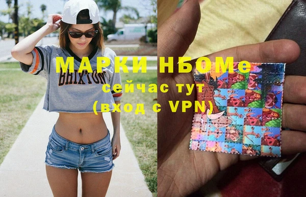 стаф Балахна